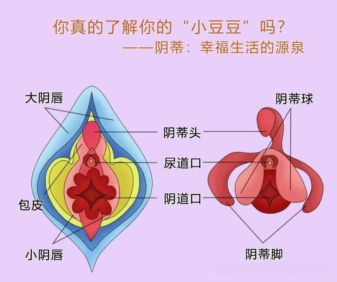 男性的阴茎是越长还是越粗好？