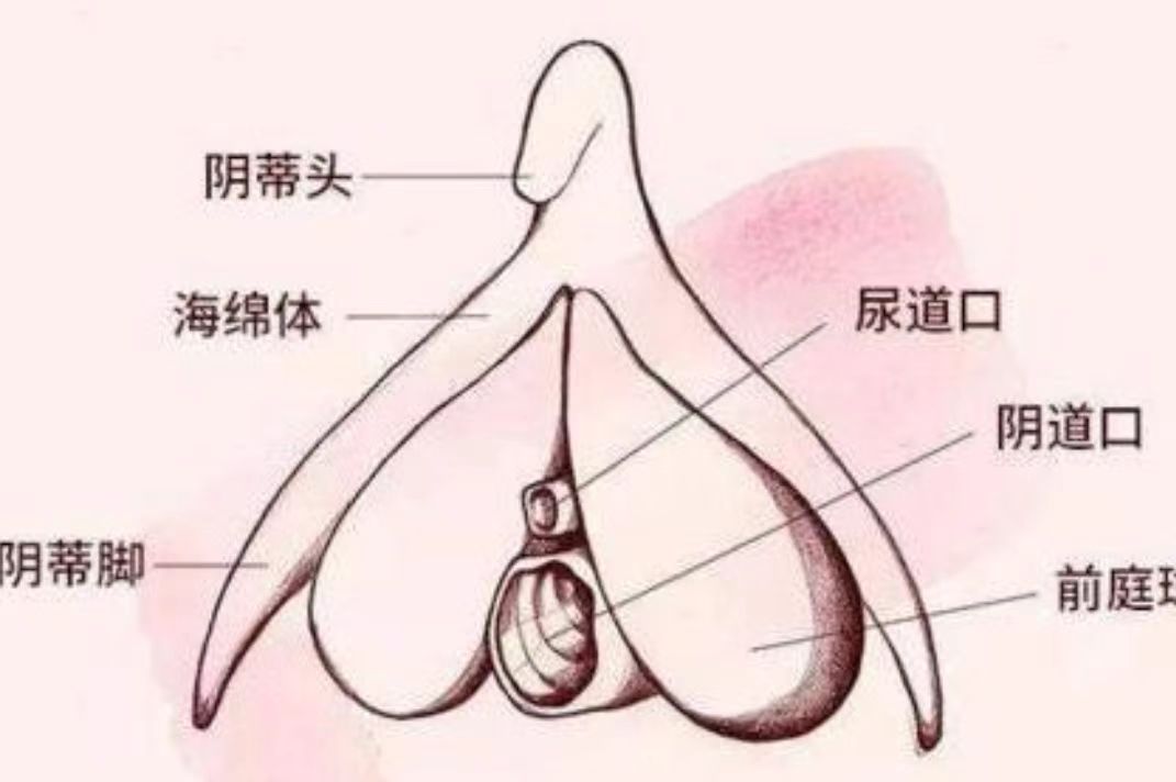 女生diy什么体验?