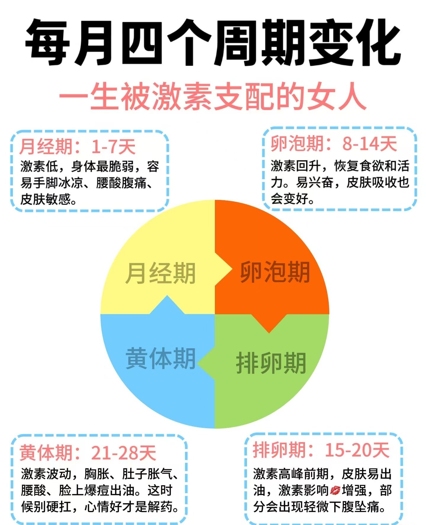 女生每个月激素周期变化