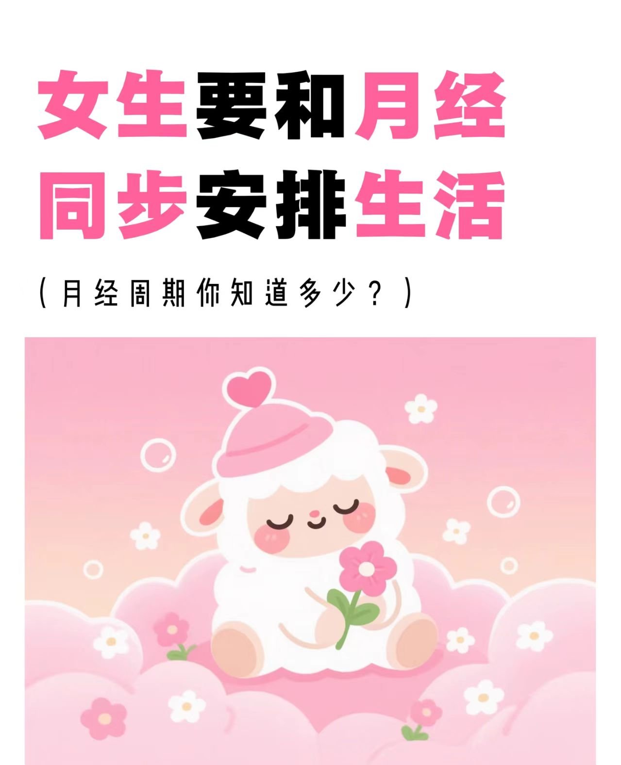 与你的身体周期共舞：如何聪明安排经期生活