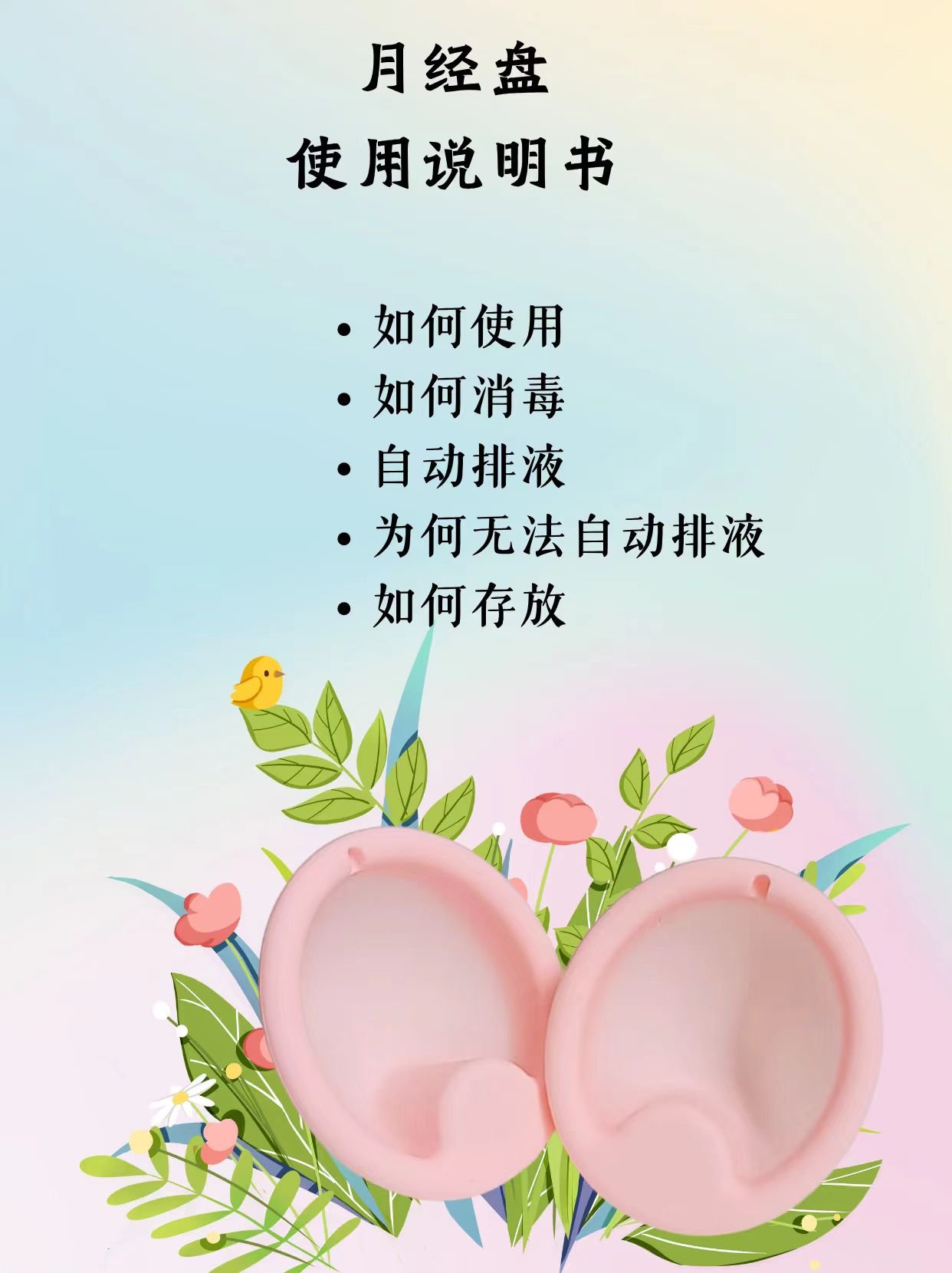 月经盘使用说明书
