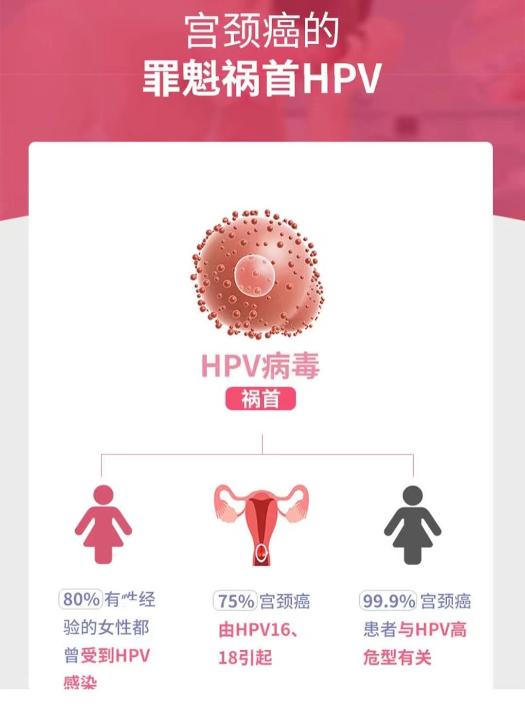 HPV是什么？一次说清楚这个常见的病毒